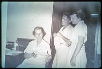 3 public health nurses